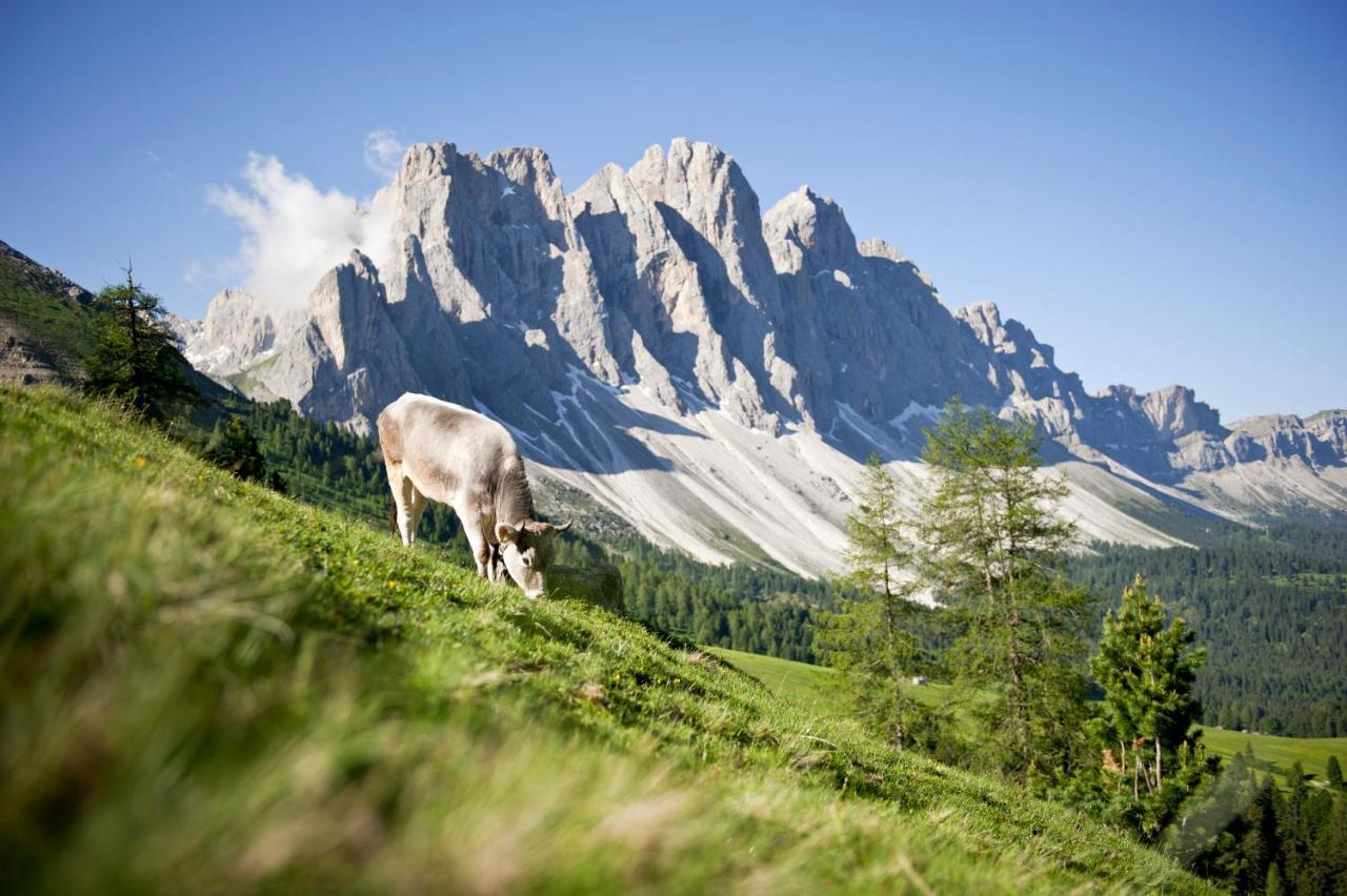 Raschoetzhof Funes  Εξωτερικό φωτογραφία